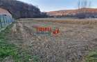 Teren Intravilan în Ampoița 1000mp - 10