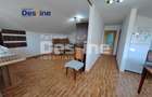 Casă individuală P+M, 164 mp utili + 1062 mp teren, COPOU - 10