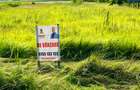 Teren intravilan în suprafață de 7.580 mp | DN65 Albota | Lângă OMV - 3