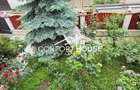 Vila D+P+E+M, teren 898mp, piscina, IANCU NICOLAE-Cambridge School - 9