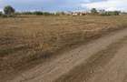 VANZARE TEREN INDUSTRIAL 35.000 MP- CENTURA MAGURELE ILFOV - 2