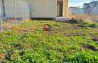 1/2 Duplex Sanandrei pret avantajos - 11