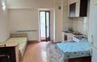 Apartament cu 1 cameră, zona Nicolina - 3