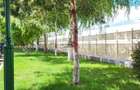 GARSONIERA MARE CU VEDERE LIBERA  / PARCARE-COMPLEX PRIVAT - 8