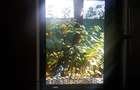 Apartament de vanzare cu gradina ap 60 Gradina 60, parcare  - 13