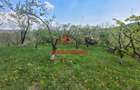 ●Casa de vacanta in Breaza, 3 camere, teren 1906 mp, 120.000e● - 5