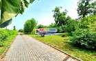 Vila stil florentin pe malul lacului,teren4043mp iesire la lac de 25ml - 14