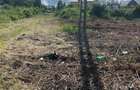 Ocazie! Visani str Castelul Grecilor TEREN 707mp intravilan toate utilitatile - 8