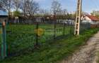 Oază de liniște la doar 27 km de Iași – Teren generos + Casă + Potențial nelimit - 3