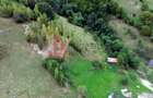 Teren de investiție în Moieciu, lângă Castelul Bran – 11.381 mp, vedere Bucegi - 18