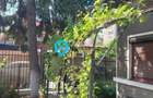 TEREN CU CASA 375 MP | DUBLU ACCES STRADAL | PRELUNGIREA GHENCEA | - 3