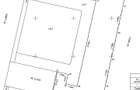 Proiect cu autorizatie 21 case, Sos Cernica, Lebada Lac, 5036 mp teren - 10