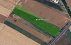 Teren Intravilan, 17500 mp, Sag, Timis, DN69 - 2