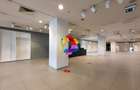 Spatiu comercial 1000 - mp #plus-imo.ro - 6