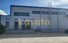 Spatiu de depozitare/productie de inchiriat - Zona de Vest - 6