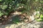Baneasa Teisani vila 7 camere teren 1000 mp - 19