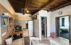 Casa de vacanta in Sibiu - Ocna Sibiului - pretabil investitie - 7