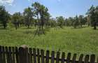 Teren intravilan 8.000 mp, Arefu – Transfăgărășan | livadă, teren plat