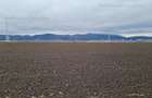 Teren extravilan 2,9 HA,intre Cristian si Vulcan - 3