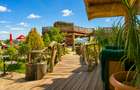 Afacere la cheie Brasov-Cazare, evenimente, wellness si agrement - 14