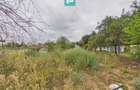 Casă nouă cu 3 camere, în localitatea Miniș, Arad - 28