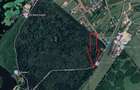 Teren cu deschidere la Padurea Snagov- Gruiu - 2
