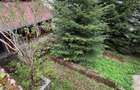 Apartament la curte Predeal - 11