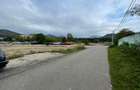 Teren intravilan, investie Hale Industriale, zona Est - 3