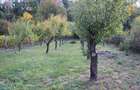 Casă cu suflet și priveliște de poveste – Crasna, Gorj - 33