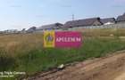 Teren, zona Dobroesti Pantelimon - 4