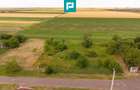 Teren intravilan de 596mp în Cicir, Vladimirescu - 3