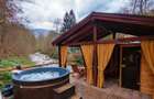 Cabana / Casa de vacanta pe Transfagarasan - Sibiu - 4