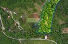 Teren intravilan, 6700 mp,  Curent, Zonă populată, Apuseni, zona Boga