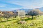 Teren intravilan 1000mp | Sibiel | Panorama superba | Ideal casa | pensiune - 1