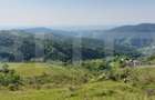 Teren extravilan pentru cabana, 3800 mp, zona-Ramet Transapuseana - 2