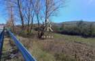 Teren extravilan, 2250 mp, in comuna Vultureni la ieșirea spre Borsa! - 1