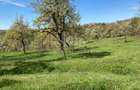 Vand teren intravilan in Albesti de Muscel