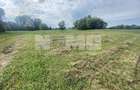 Teren Extravilan | 23 Ari | Satu Mare | Suceava - 2