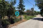 Teren intravilan 4.000 mp Comana (Budeni) | 10 €/mp negociabil | Comis