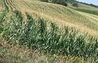 Teren in Acatari la E60 - 1,73 hectare - 2
