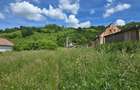 Teren de vanzare, 3400 Mp, Sighisoara - 2