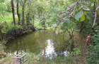 Teren de vanzare - Baicoi(Central) (intre case,gaze,curent,canalizare) - 5