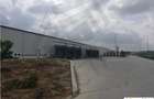 DEPOZIT TEMPERATURA CONTROLATA ALUTI & VALSI COLD STORAGE - 5