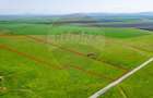 5 hectare teren agricol- pășune, cu front la șosea, zona Sântana - 1