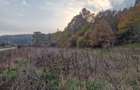 Teren 1,717mp Margineni / Strada Sat podis - 6