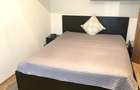 Ap 2 Camere | 10 min Metrou Dristor | ParkLake | Parcului IOR | Baba Novac - 4