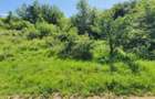 Teren extravilan 3200mp lac Sacel - 8