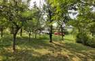 Oportunitate vanzare 6000 mp teren drept,superb toate utilitatile Breaza Prahova - 6