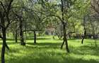 Casă de vânzare în zona Câmpulung înconjurată de natura - 12