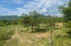 Teren intravilan, 25 ari, zona Tauti de Sus - 3